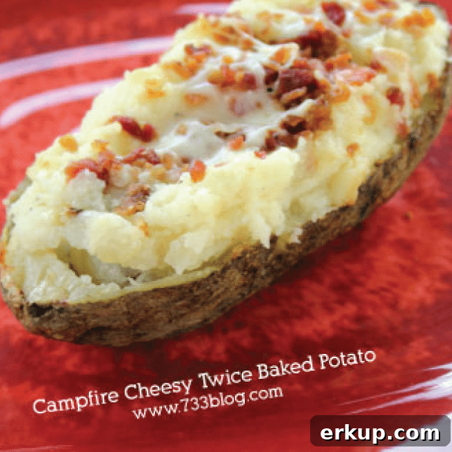 25+ Campfire Recipes and Camping Hacks to Try 12 Campfire Cheesy Twice Baked Potatoes from 733 Blog