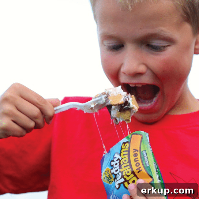 25+ Campfire Recipes and Camping Hacks to Try 13 S'mores in a Bag from a Girl and a Glue Gun