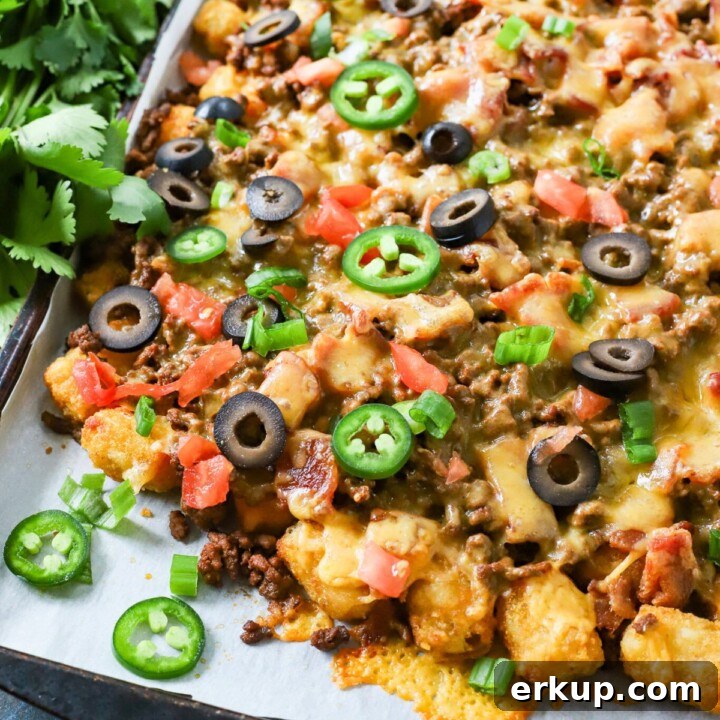 Loaded Tater Tot Nachos