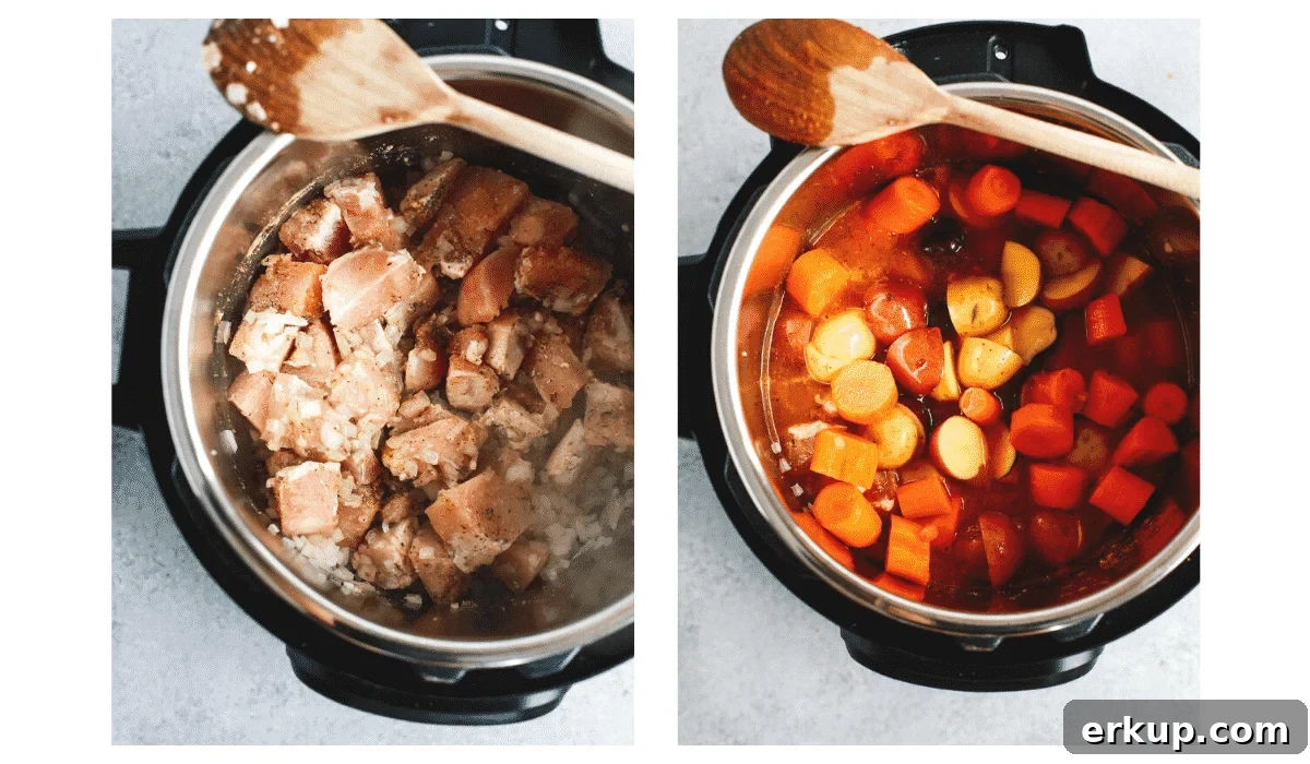 step by step photos show how to make chicken stew in an electric pressure cooker