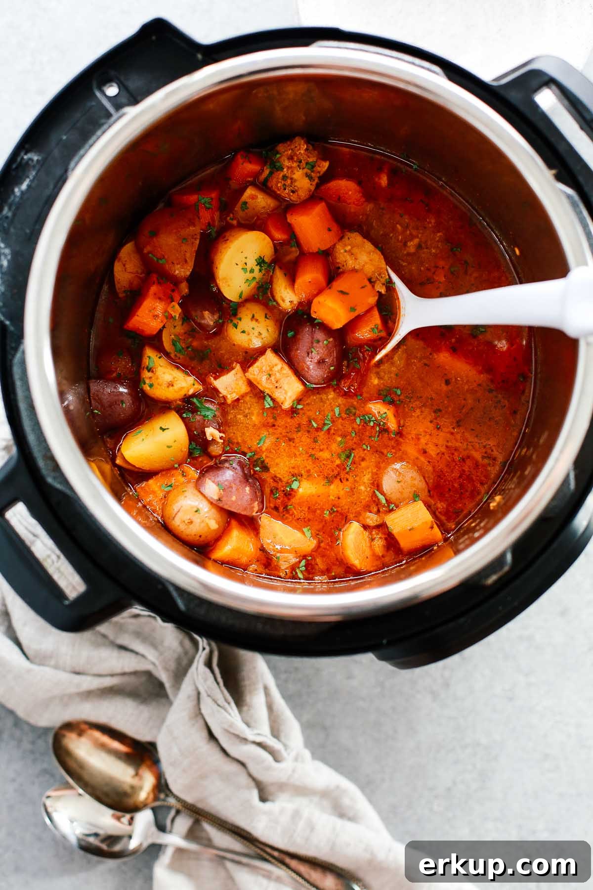 chicken vegetable stew cooking in a pressure cooker