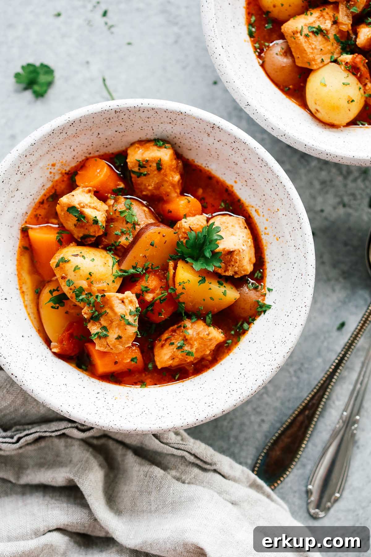 looking down on bowl of hearty chicken stew 
