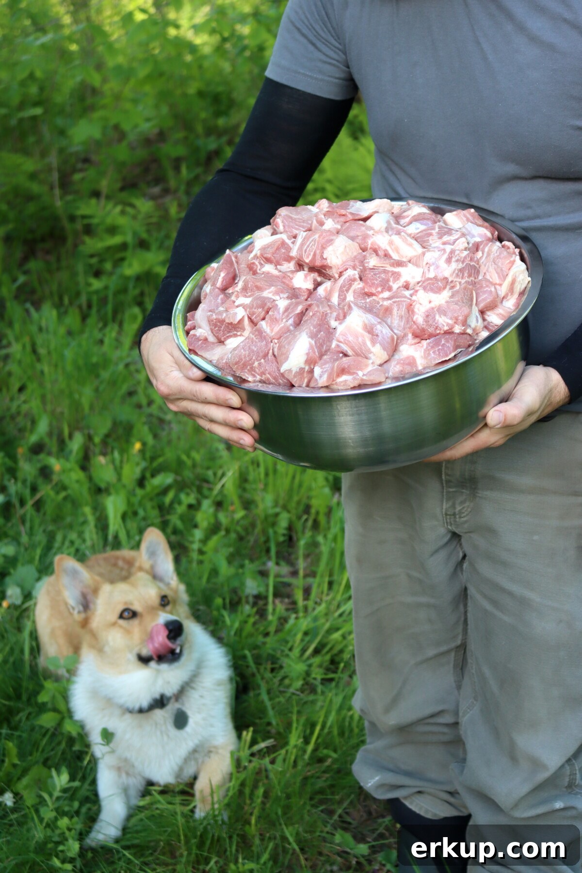 A man holding a bowl of pork shoulder for a pork canning recipe, with a dog nearby.