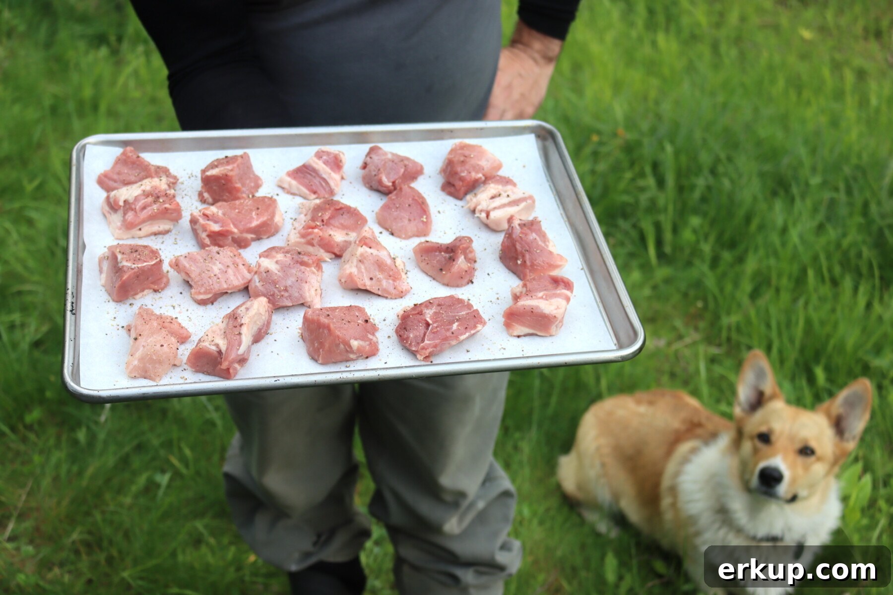Pork shoulder pieces on a tray for roasting before canning.