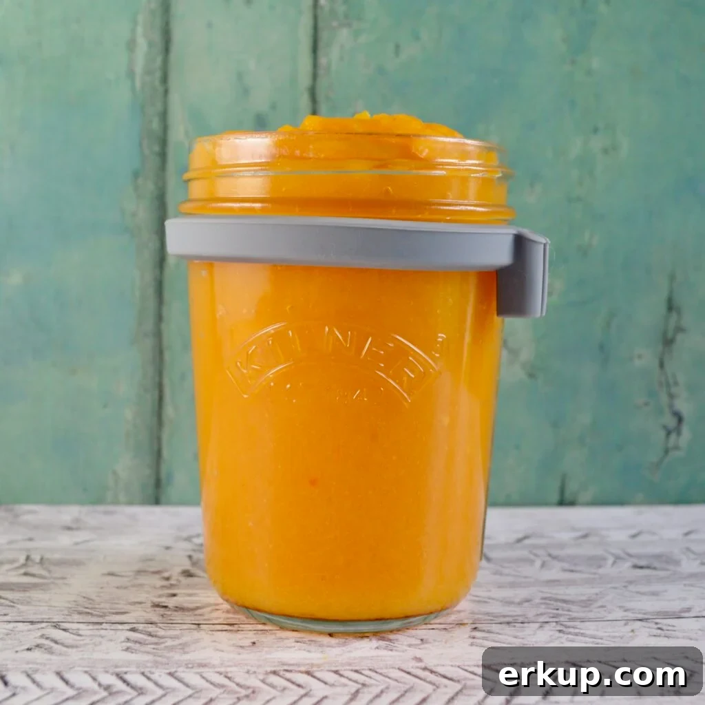 10 Gluten- and Dairy-Free Pumpkin Recipes to Try This Fall 2 pumpkin puree