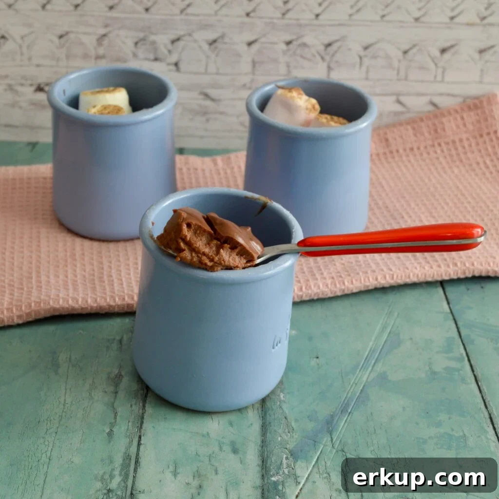 10 Gluten- and Dairy-Free Pumpkin Recipes to Try This Fall 11 pumpkin chocolate pudding