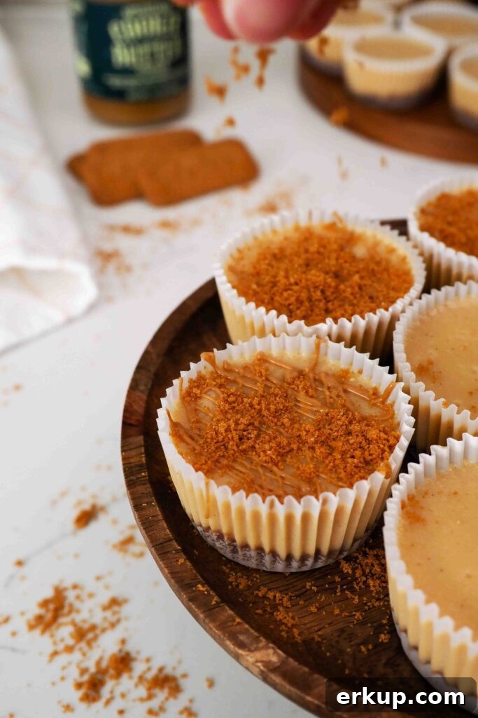 A hand sprinkles Biscoff biscuit crumbs onto a mini Biscoff cheesecake.