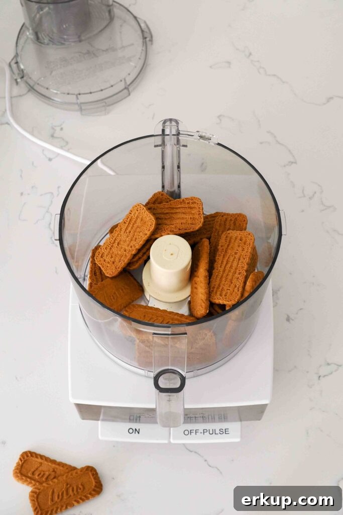 Biscoff biscuits in a food processor bowl.