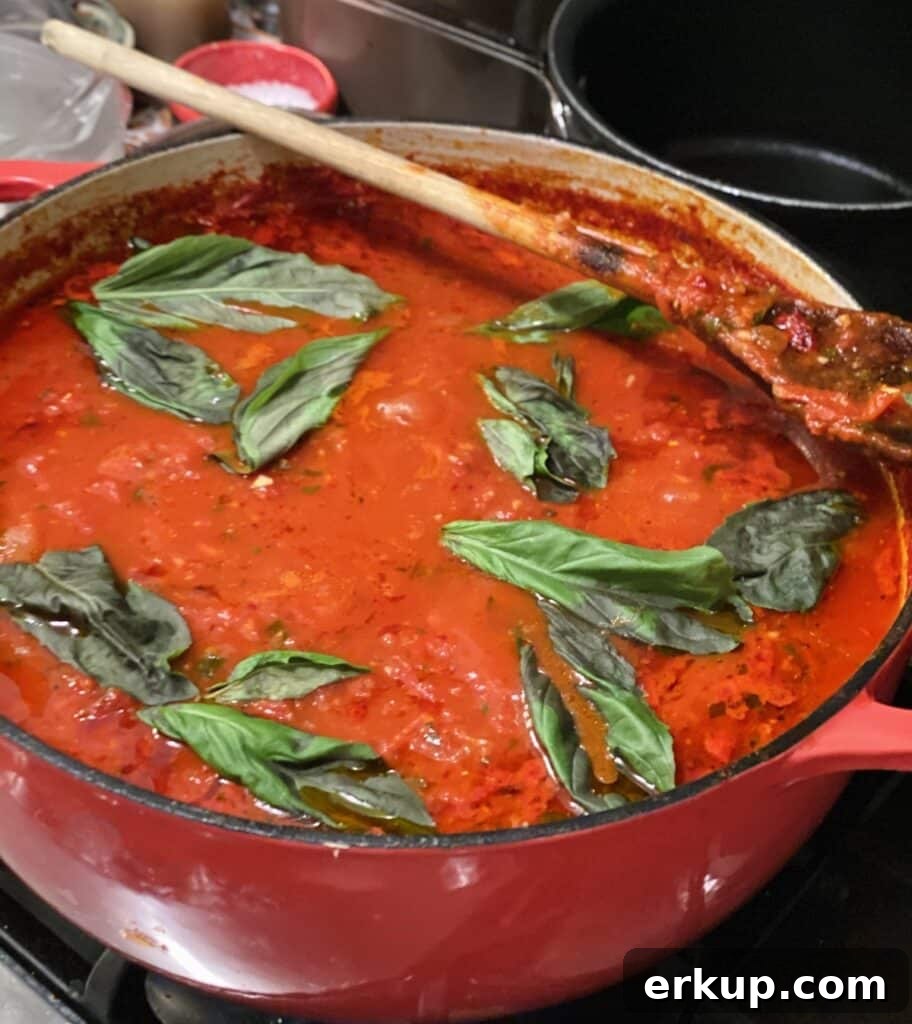 Pot of sugo recipe topped off with fresh basil leaves with wooden spoon.