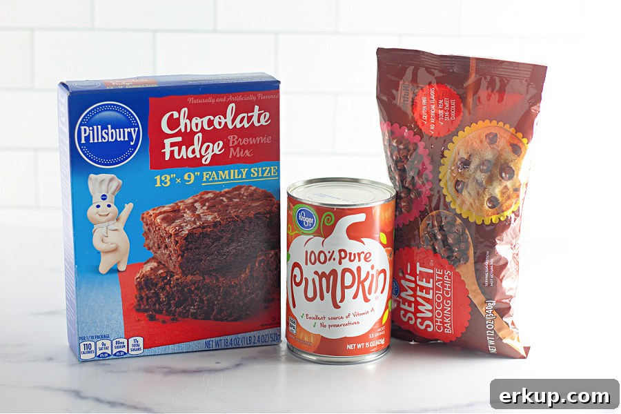 Brownie batter with pumpkin