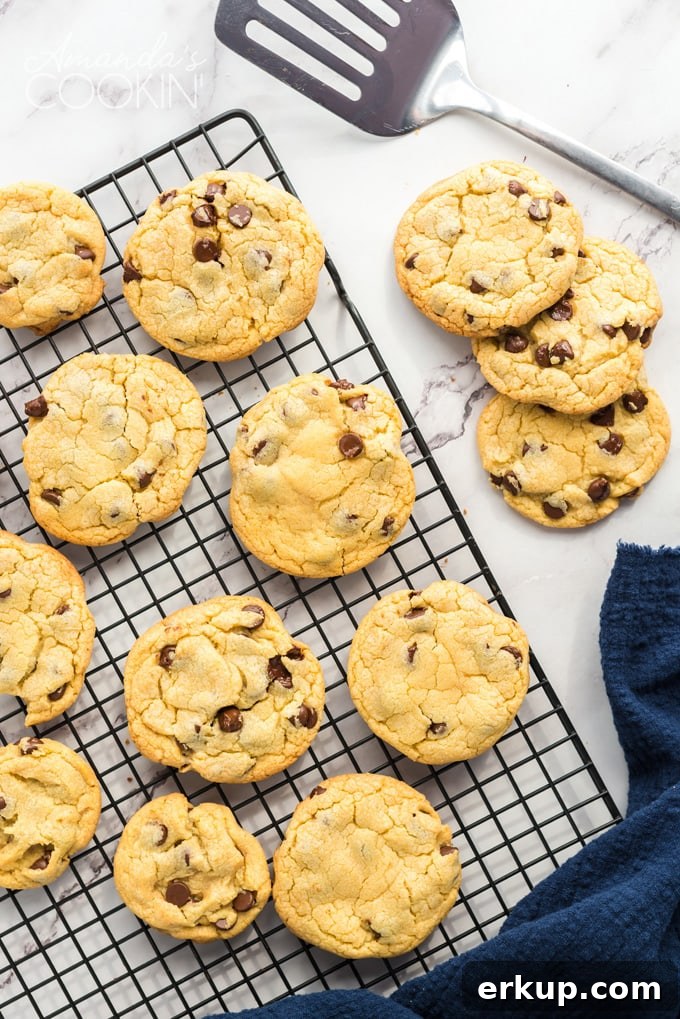 These Chocolate Chip Pudding Cookies are soft and chewy and always a hit. Easy to make with instant pudding, you can even freeze to make a few at a time! cool rack full of Chocolate Chip Pudding Cookies