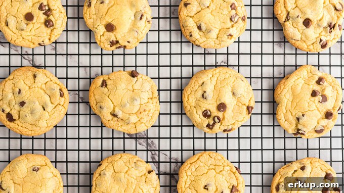 These Chocolate Chip Pudding Cookies are soft and chewy and always a hit. Easy to make with instant pudding, you can even freeze to make a few at a time! cooling rack of cookies