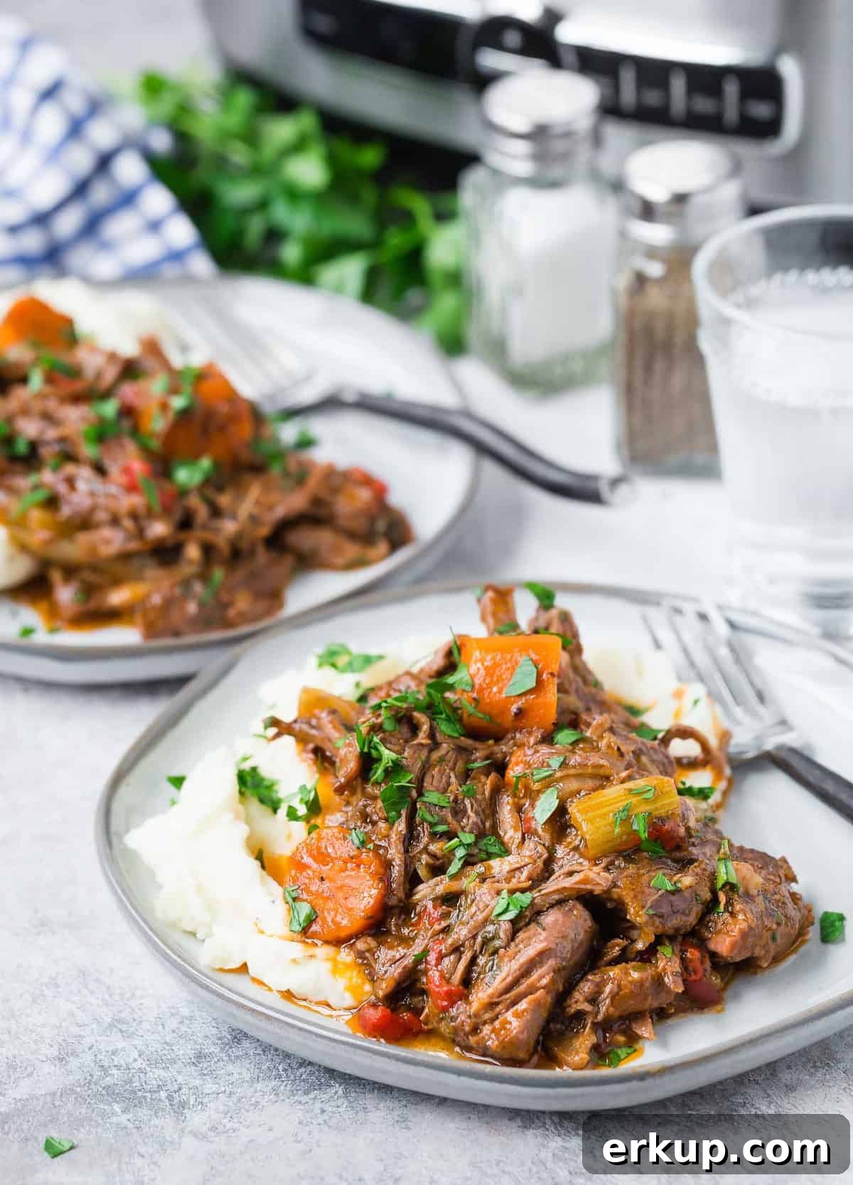 Pot roast on two plates, a slow cooker and salt and pepper shakers in the background.