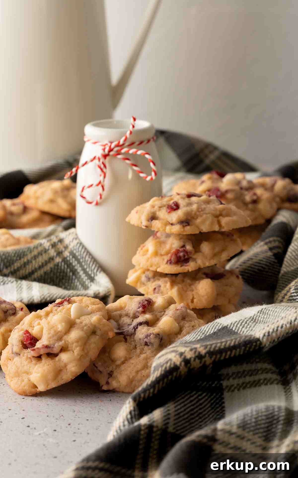 A stack of cranberry white chocolate cookies.