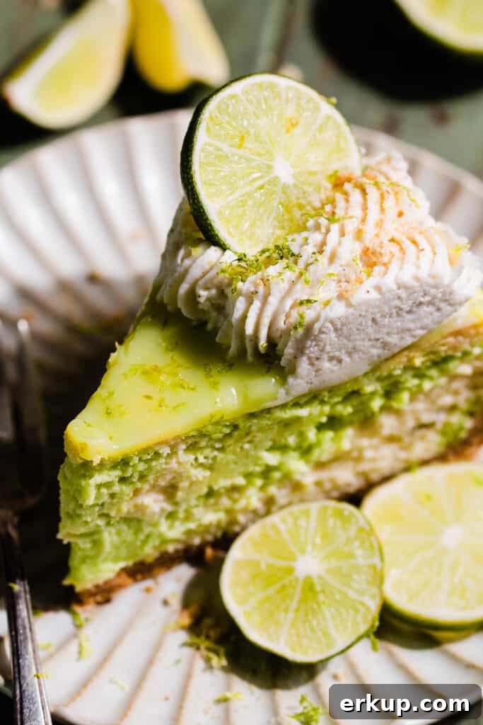 A slice of key lime cheesecake with a border of piped whipped cream on top.