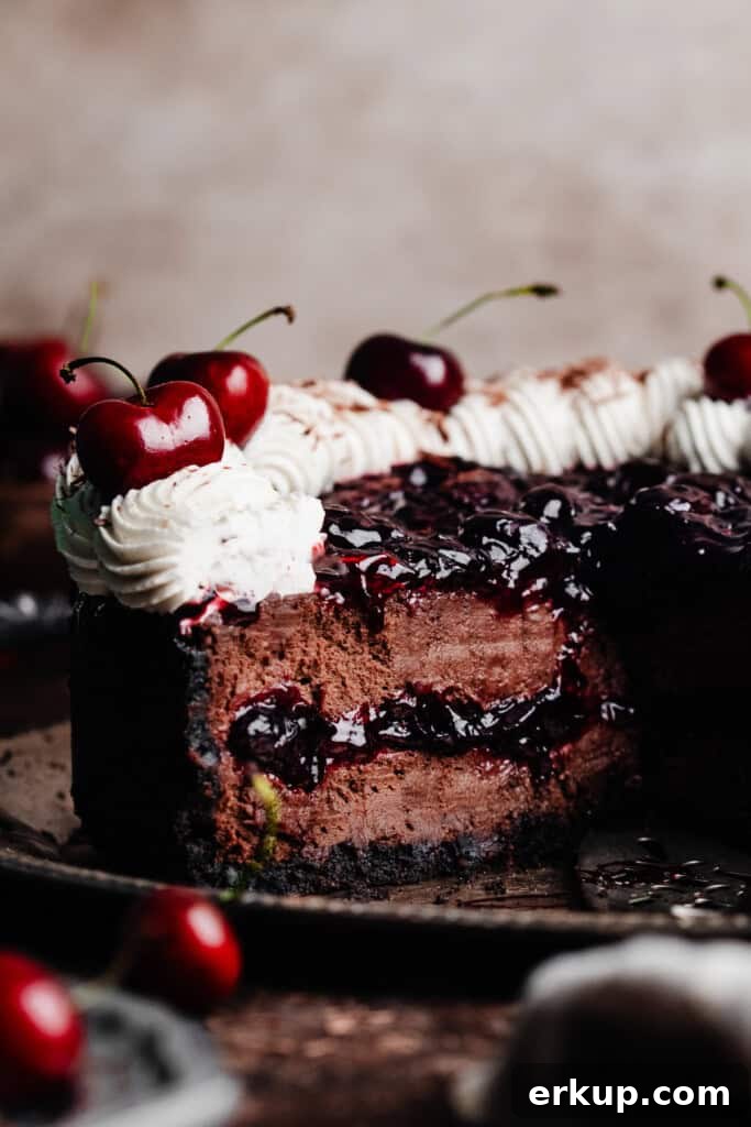 A black forest cheesecake with a piped border of whipped cream.