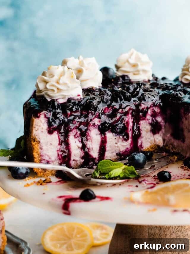 Whipped cream swirls piped on top of blueberry cheesecake.