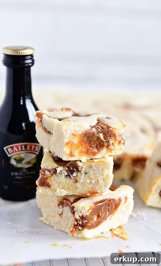 Baileys Fudge with Irish Cream Baileys Fudge with a bottle of Irish Cream