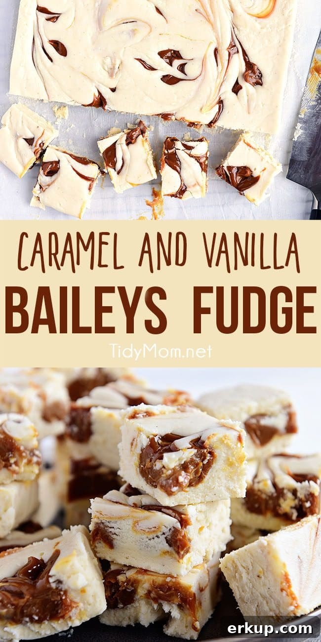 Baileys Fudge collage baileys fudge on a plate collage