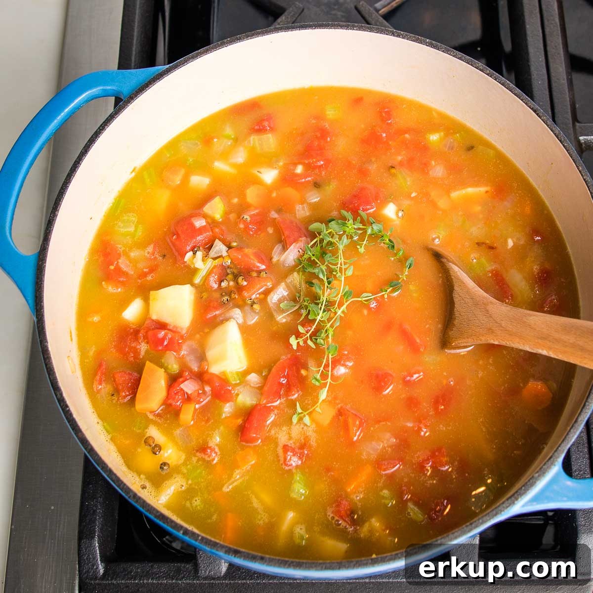Dutch oven with broth, tomatoes and chunky veggies and a sprig of fresh thyme.