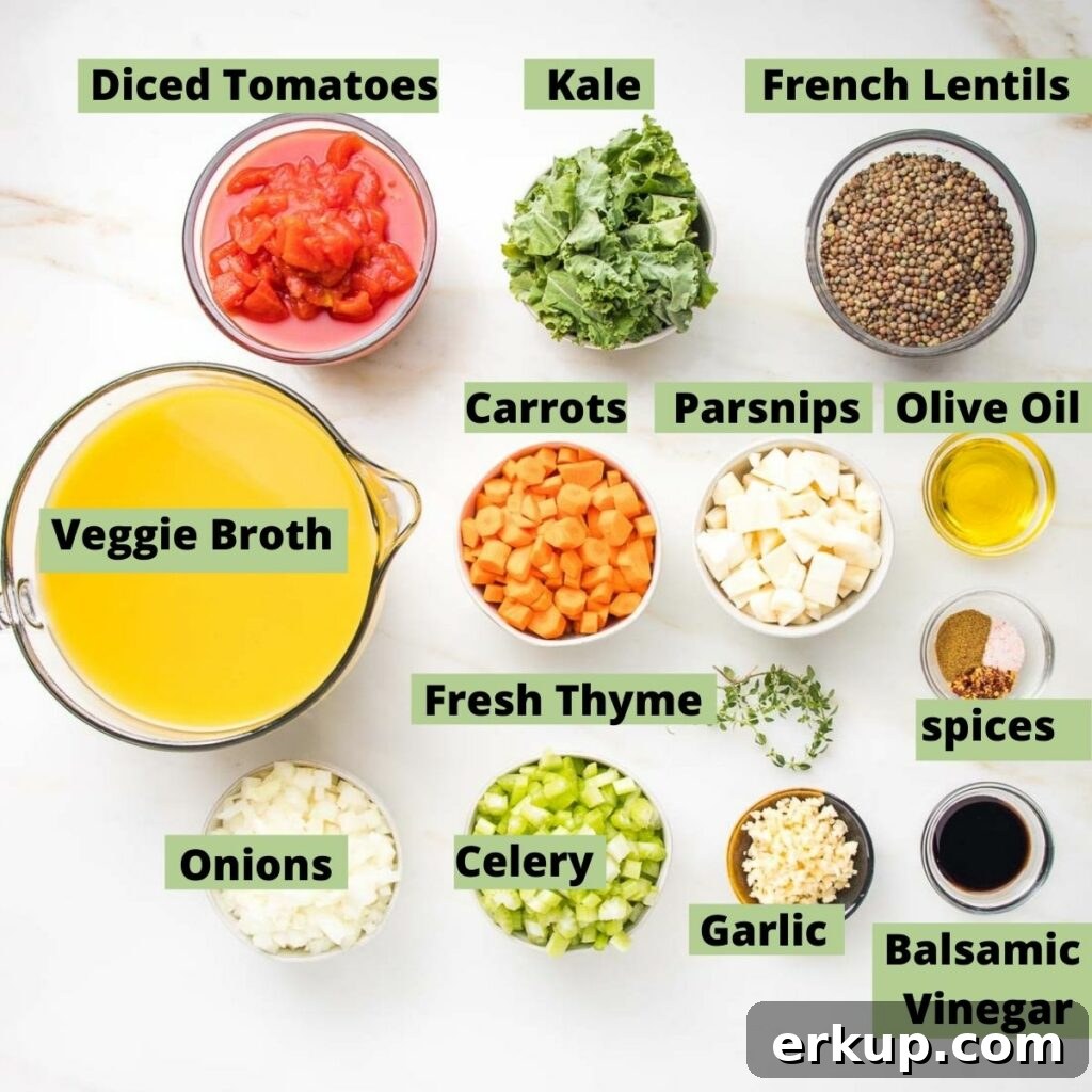 Labeled ingredients with photos for lentil soup: diced tomatoes, kale, french green lentils, veggie broth, diced carrots, diced parsnips, olive oil, diced onions, diced celery, minced garlic, spices and balsamic vinegar