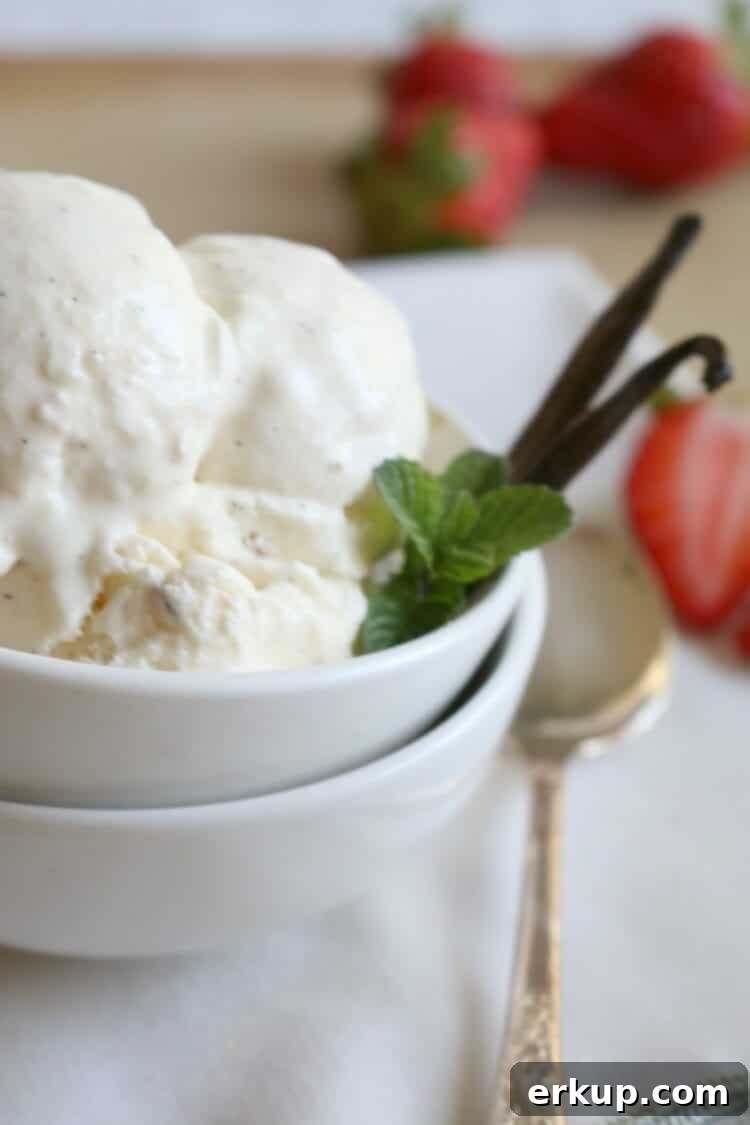 3 Ingredient Vanilla Bean Ice Cream - This Paleo treat is rich in healthy dairy free fats and loaded with vanilla bean specks. Made with coconut milk. 