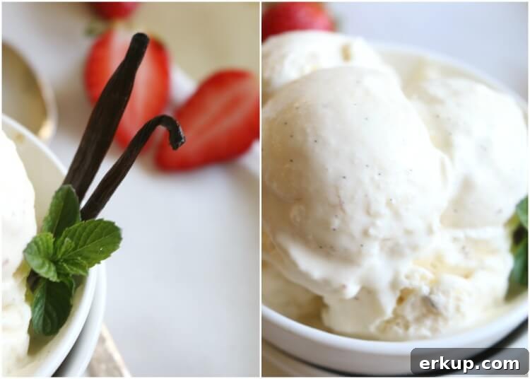 3 Ingredient Paleo Vanilla Bean Ice Cream - This Paleo treat is rich in healthy dairy free fats and loaded with vanilla bean specks. Made with coconut milk. 