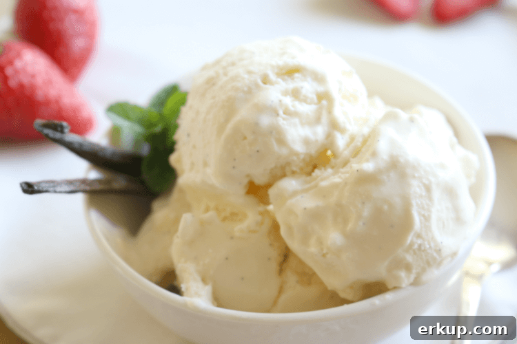 3 Ingredient Vanilla Bean Ice Cream - This Paleo treat is rich in healthy dairy free fats and loaded with vanilla bean specks. Made with coconut milk. 