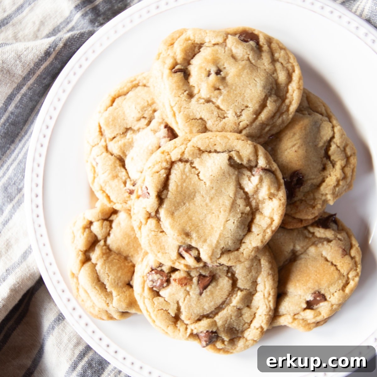 Week 5 Vegetarian Meal Plan for April 8 Plate of chubby, chewy chocolate chip cookies