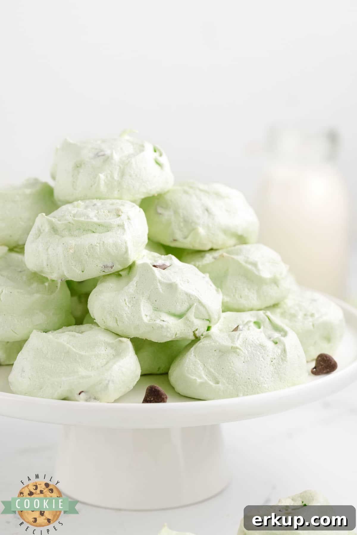 Mint Chocolate Chip Meringue Cookies 5 Mint chocolate chip meringue cookies.