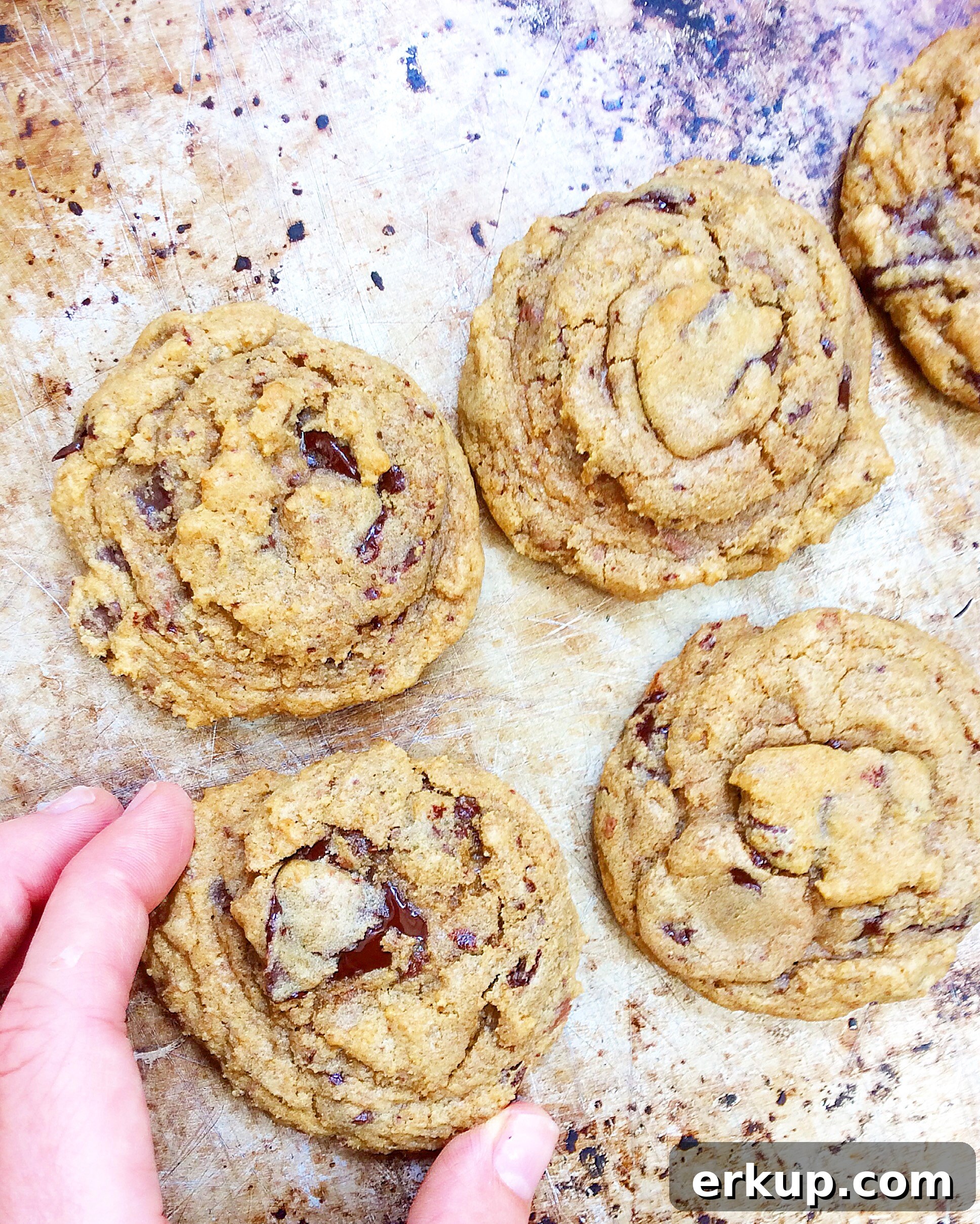 Chocolate Chip Cookies