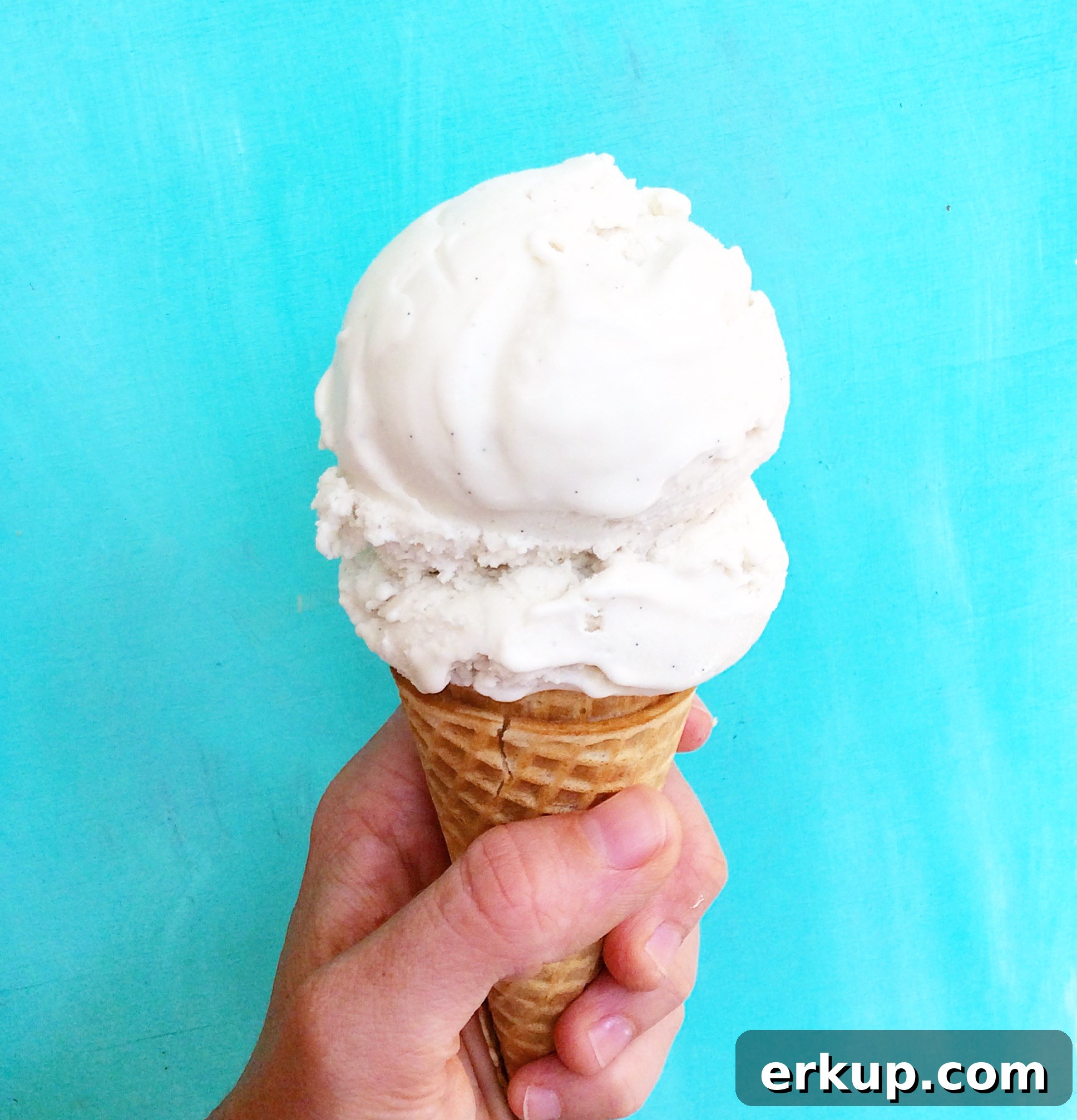 Coconut Vanilla Bean Ice Cream (Vegan)