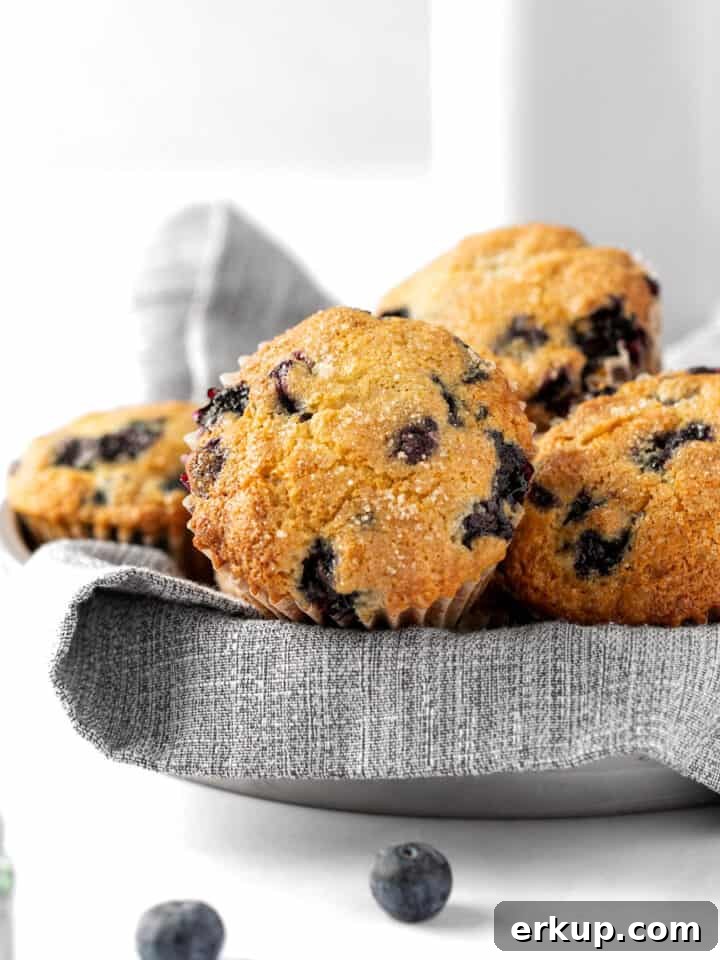 A bowl of blueberry sour cream muffins on a white table and background.