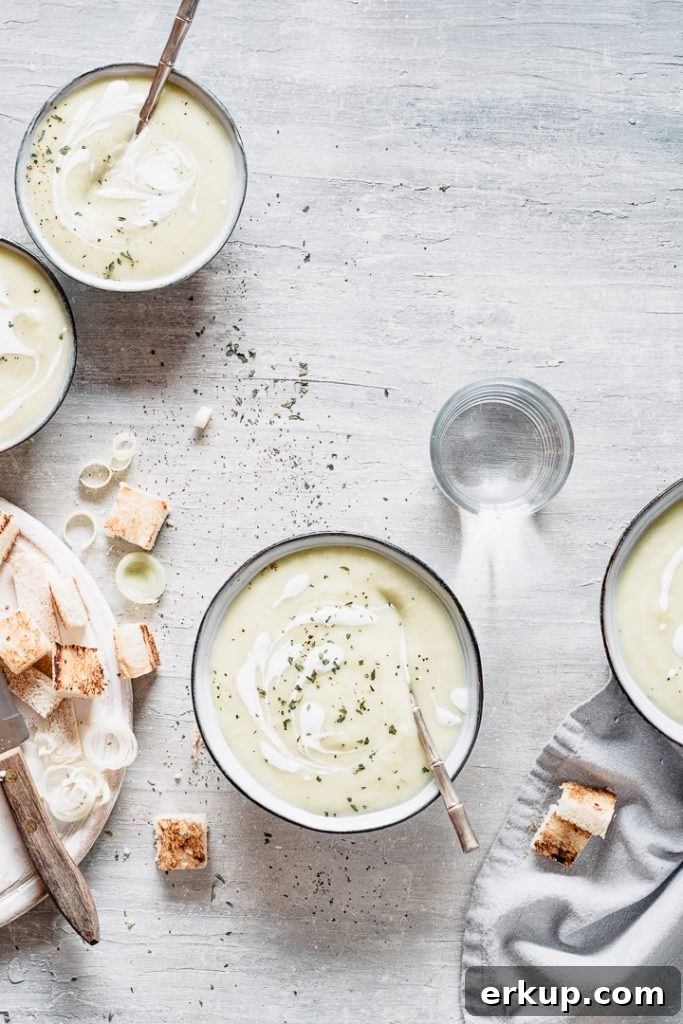 Super creamy velvety potato leek soup with vegan option