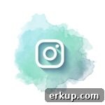 Instagram icon