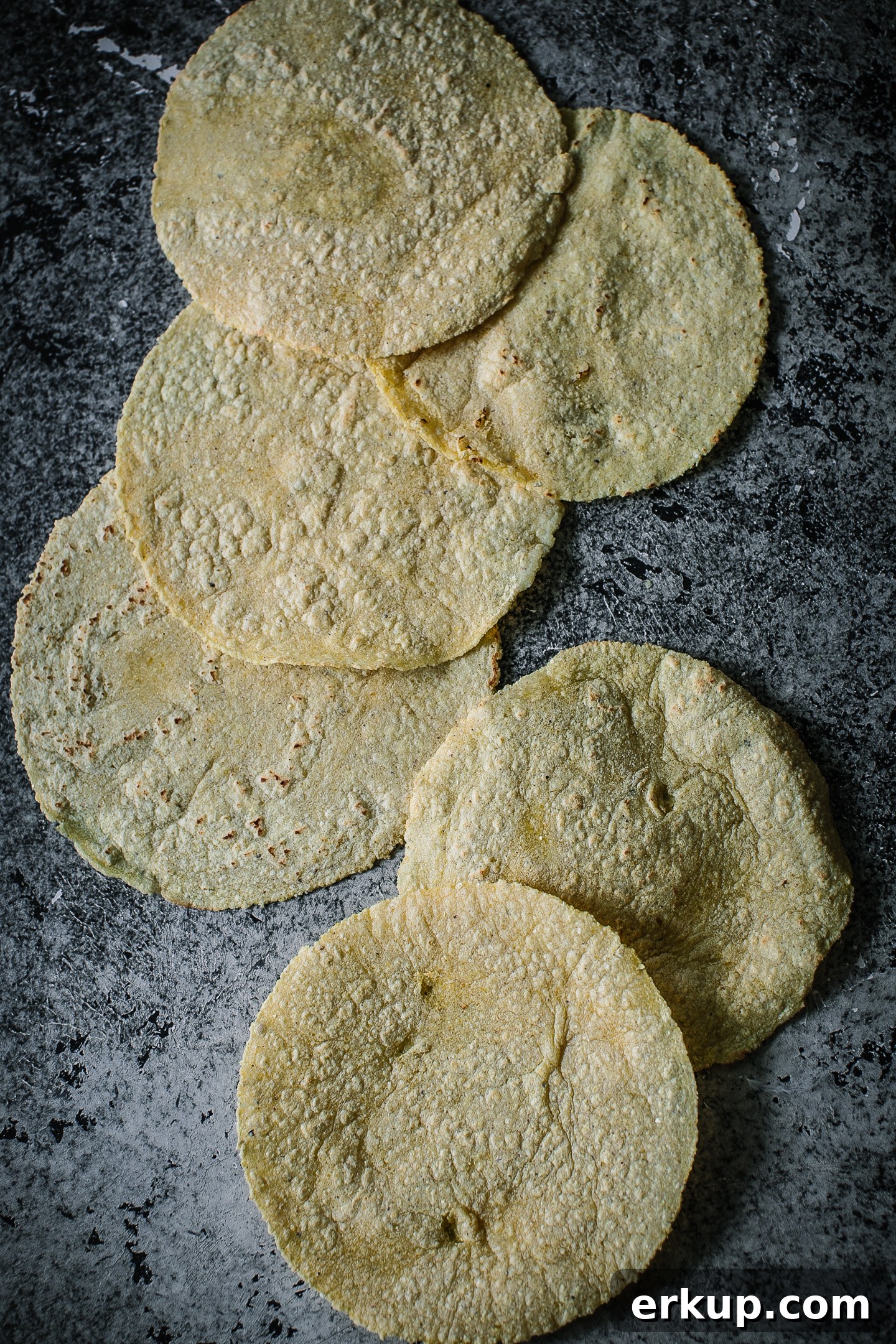 Homemade Corn Tortilla Recipe