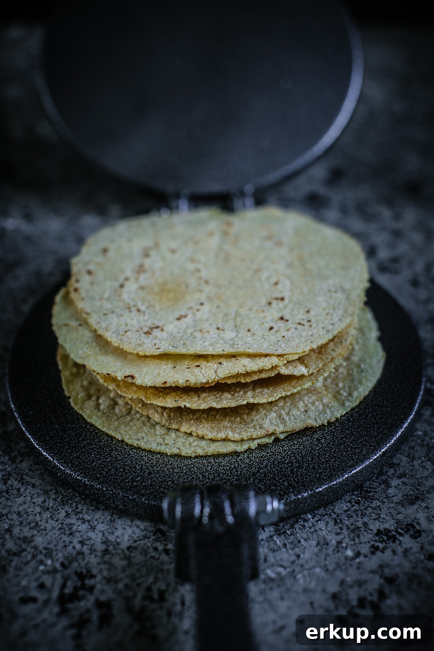 Homemade Corn Tortilla Recipe