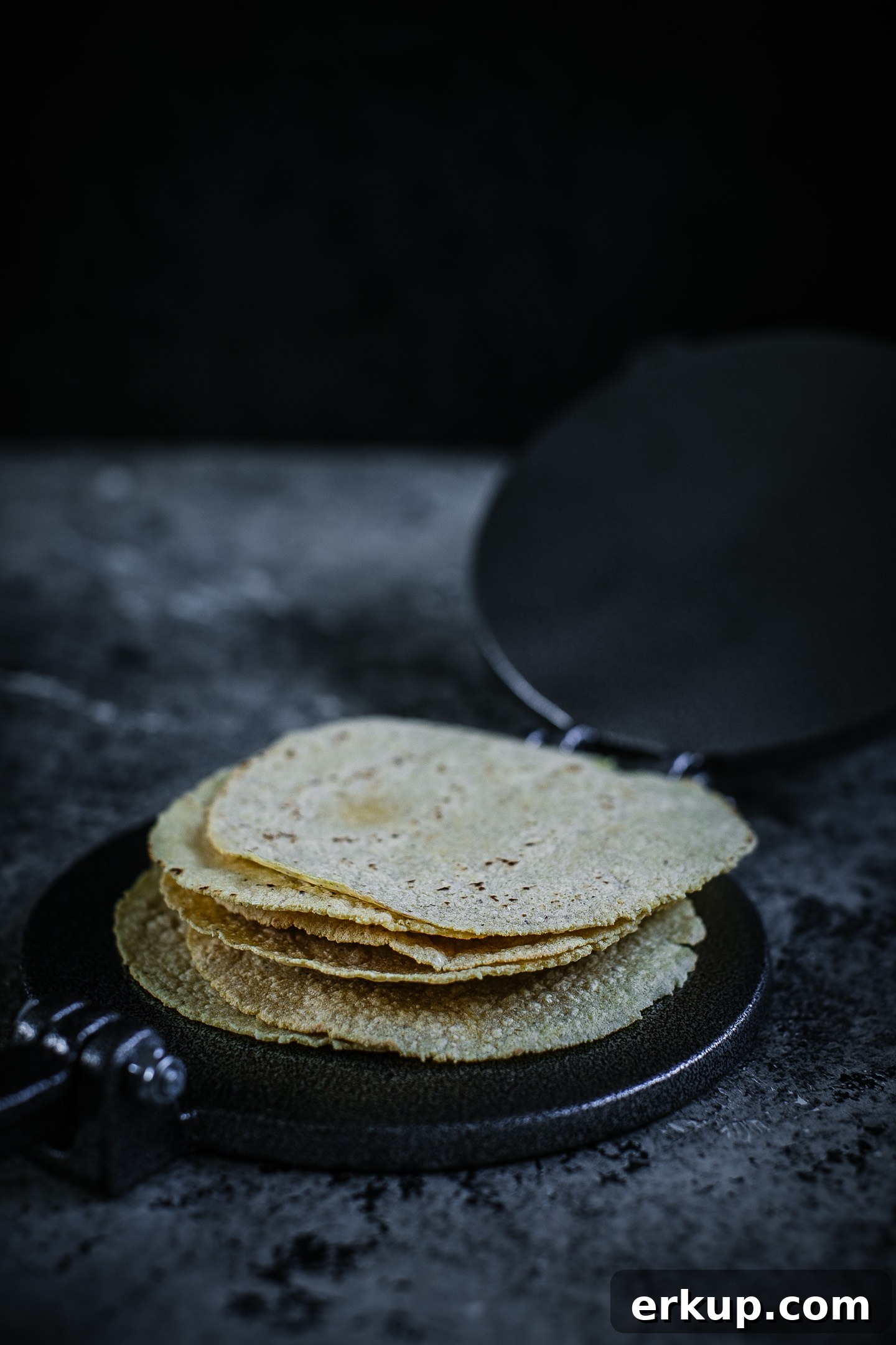 Homemade Corn Tortilla Recipe