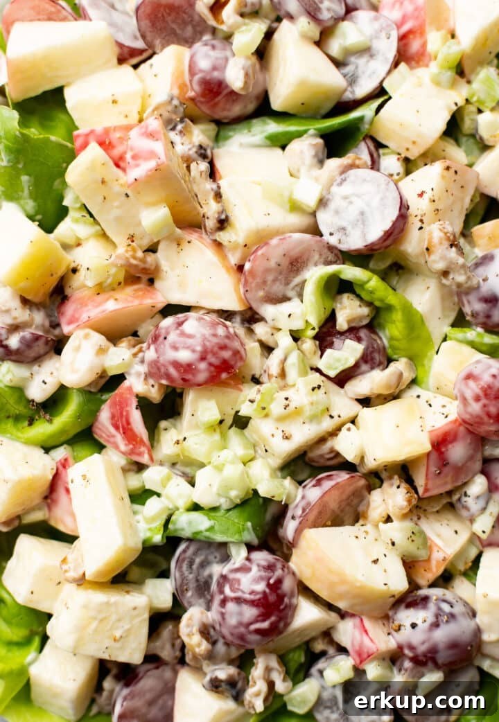 Closeup of Waldorf salad