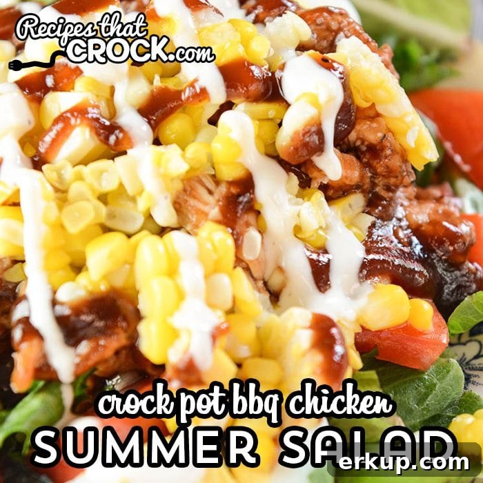 Our Crock Pot BBQ Chicken makes an incredible summer salad you will crave all year long!