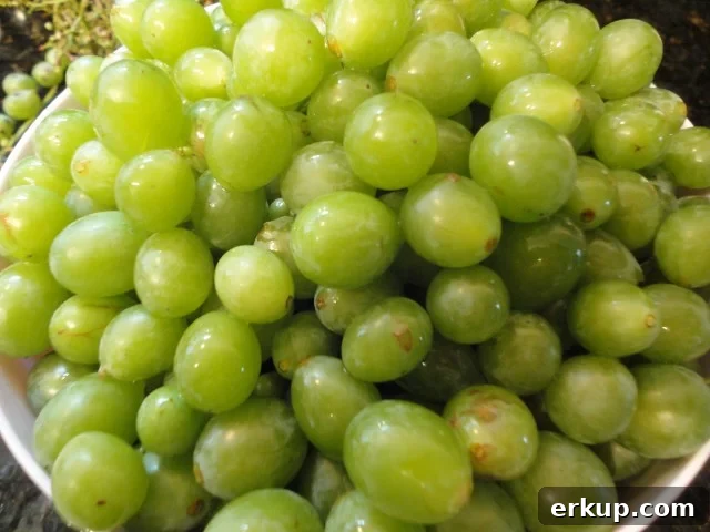 Picked, Cleaned and Washed Home Grown Grapes