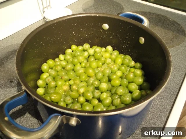 Grapes in a Pot Ready to be Boiled to Make Jam