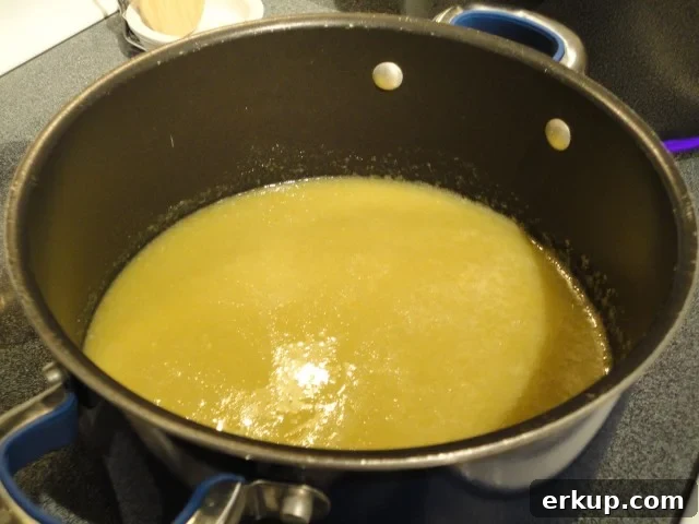 Strained Grapes (Juice, Pulp and Some Skin)