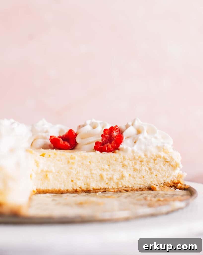 26 Memorial Day Cookout Recipes: Burgers, Ribs, Salads, Desserts 26 Philadelphia Cheesecake
