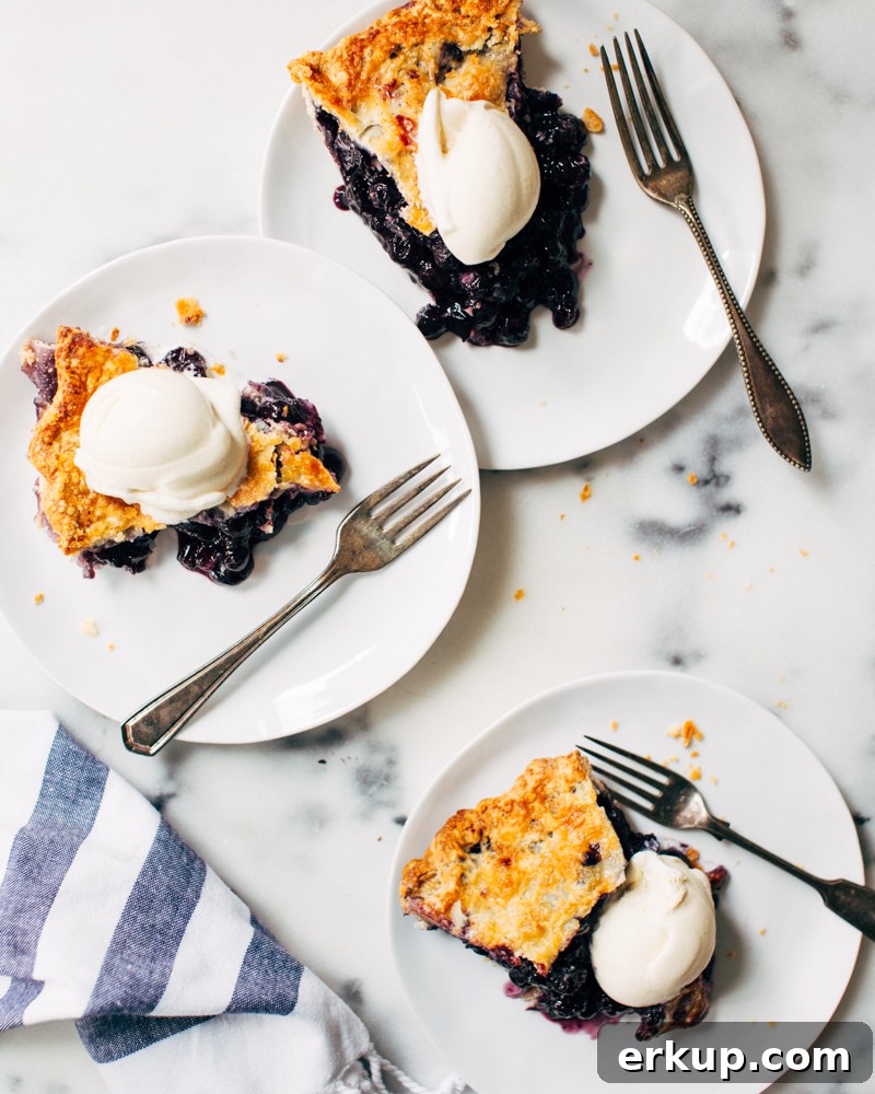 26 Memorial Day Cookout Recipes: Burgers, Ribs, Salads, Desserts 27 Blueberry Pie