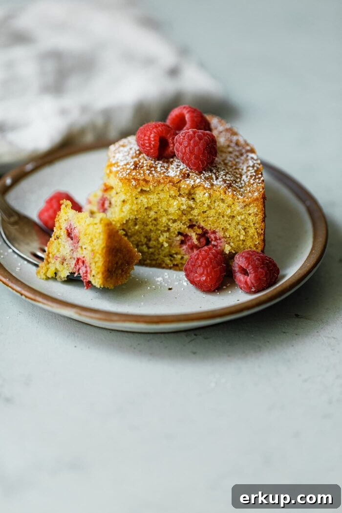 Raspberry Pistachio Cake Whole