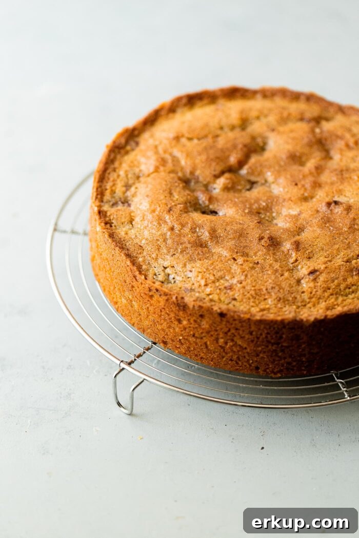 Raspberry Pistachio Cake Recipe