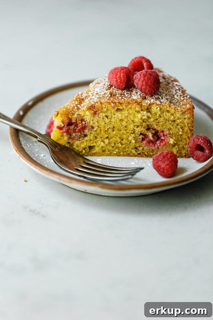 Raspberry Pistachio Cake Slice