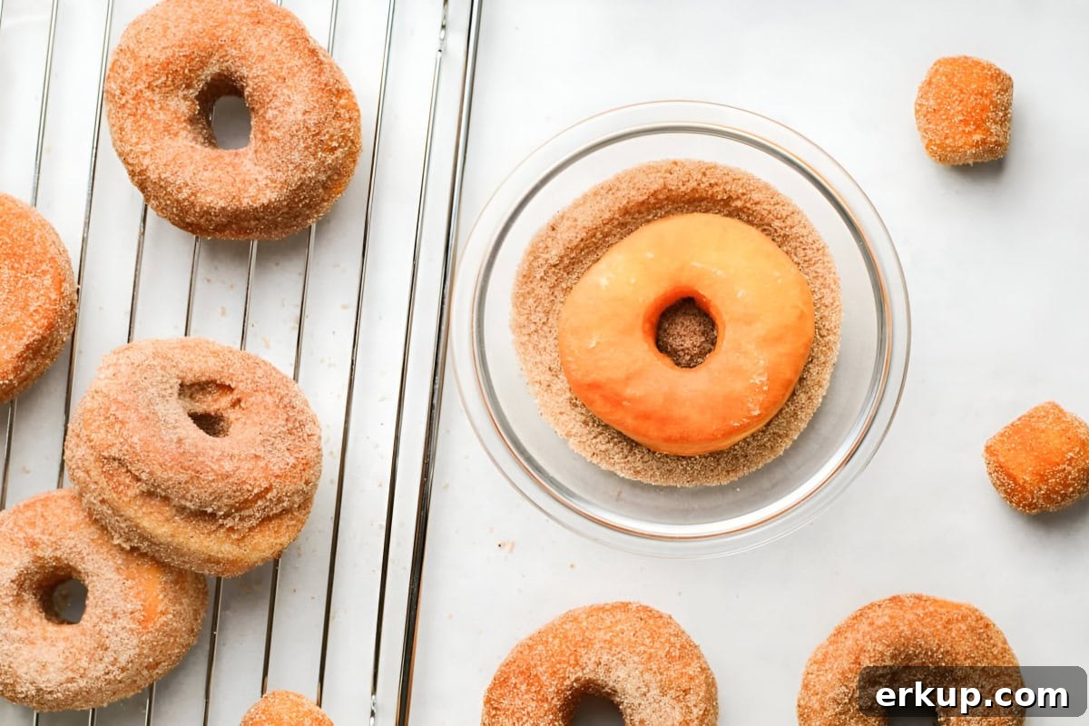 Cinnamon Sugar Donuts Recipe From Scratch 12 overhead view of fried donuts being dipped into cinnamon sugar.