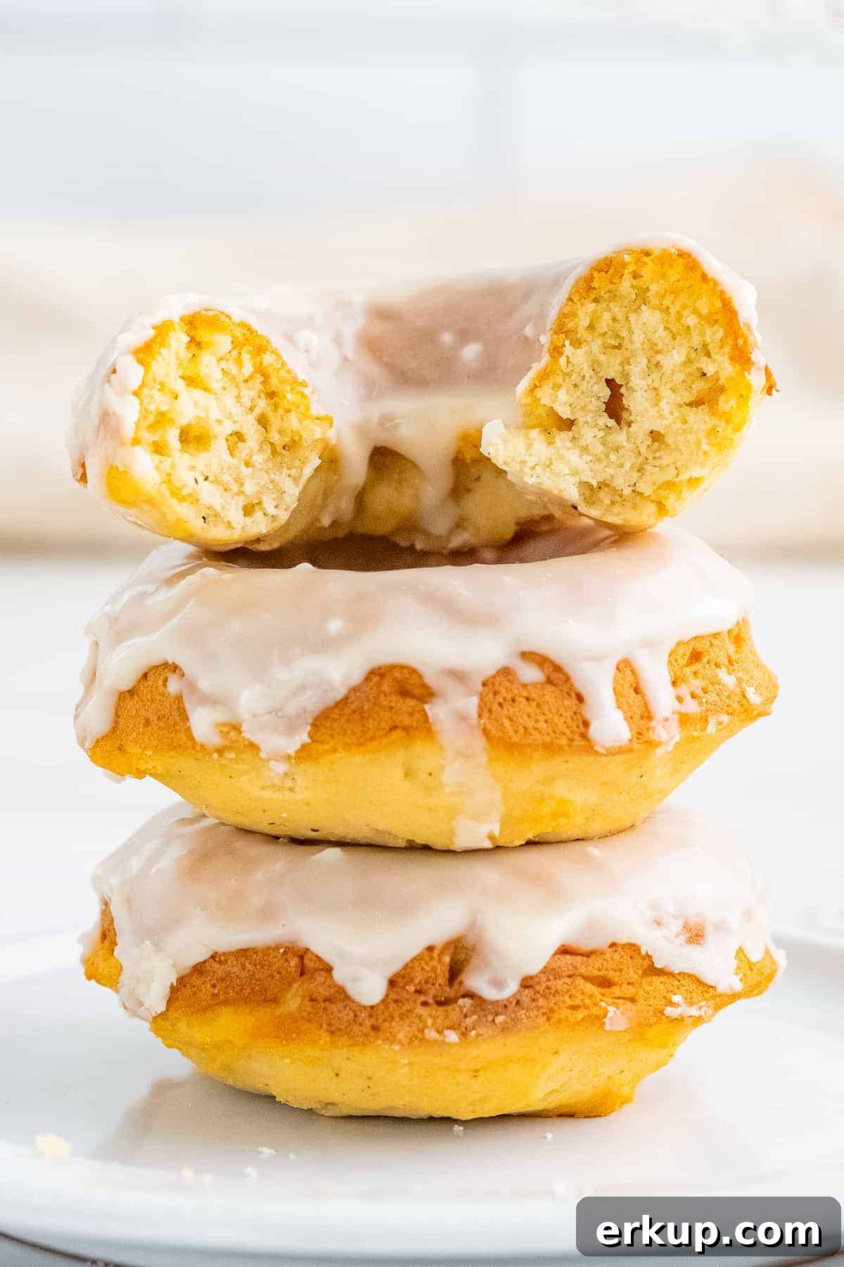 Cinnamon Sugar Donuts Recipe From Scratch 16 Baked Vanilla Donuts